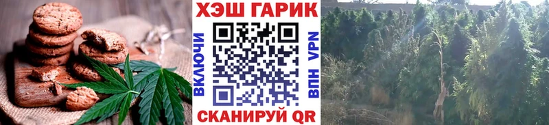 МЕГА tor  Вязьма  Еда ТГК конопля  купить наркотик 