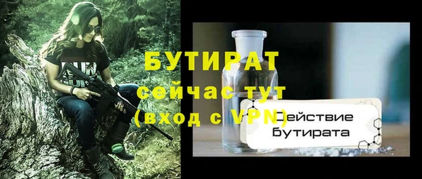 прущие грибы Каменка
