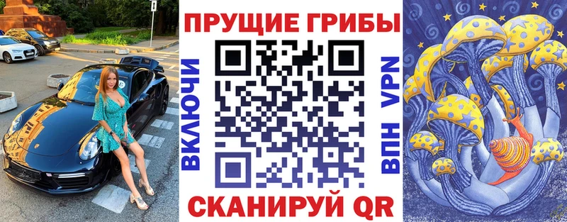 Псилоцибиновые грибы Psilocybe  Вязьма 